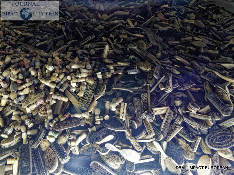 Camp d'extermination d'Auschwitz I(Pologne)