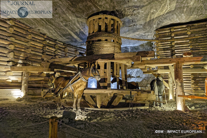 11-mines de sel de Wieliczka 12