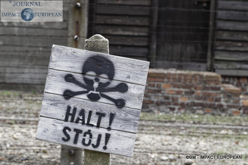 Camp d'extermination d'Auschwitz I(Pologne)