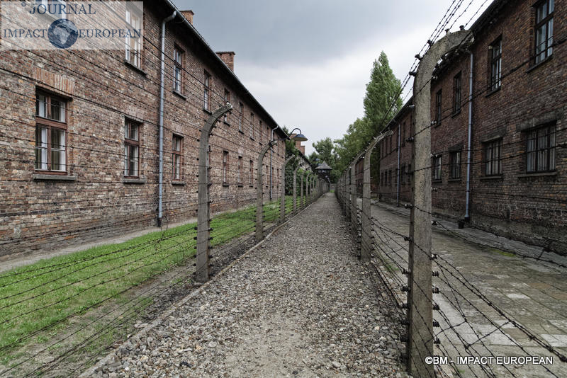 Camp d'extermination d'Auschwitz I(Pologne)