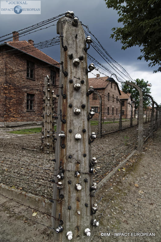 Camp d'extermination d'Auschwitz I(Pologne)