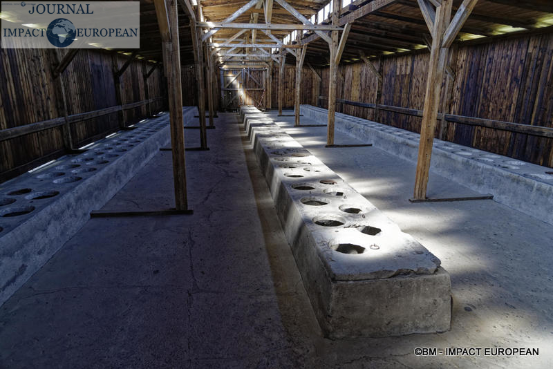 Camp d'extermination d'Auschwitz II-Birkenau (Pologne)