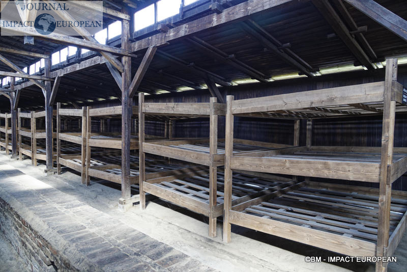 Camp d'extermination d'Auschwitz II-Birkenau (Pologne)