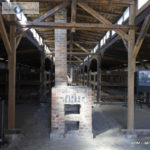 Camp d'extermination d'Auschwitz II-Birkenau (Pologne)