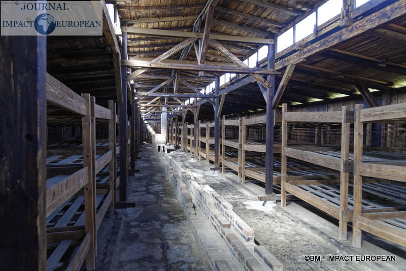 Camp d'extermination d'Auschwitz II-Birkenau (Pologne)