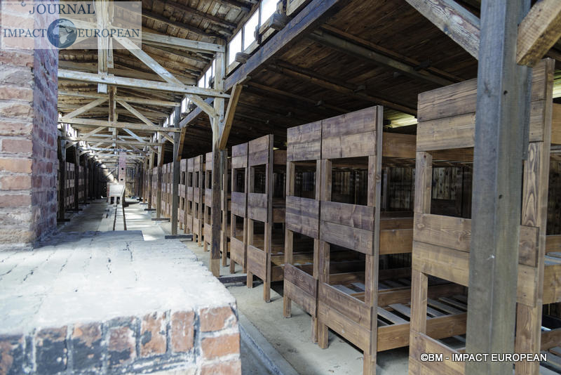 Camp d'extermination d'Auschwitz II-Birkenau (Pologne)