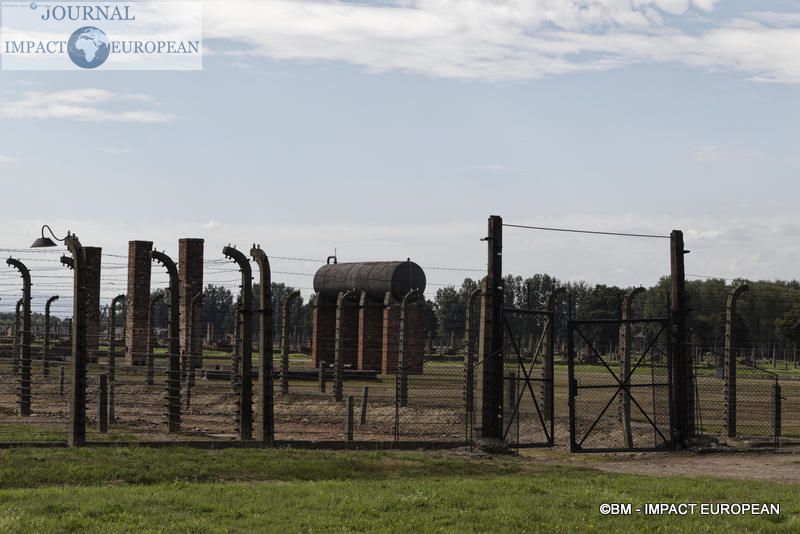 Camp d'extermination d'Auschwitz II-Birkenau (Pologne)