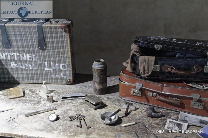 Camp d'extermination d'Auschwitz II-Birkenau (Pologne)