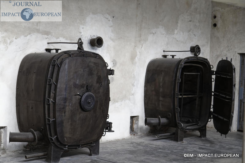 Camp d'extermination d'Auschwitz II-Birkenau (Pologne)