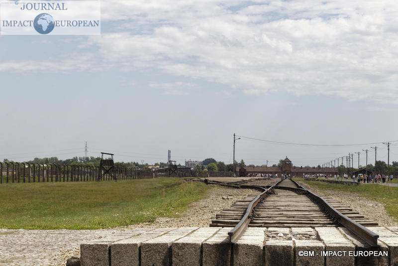 Camp d'extermination d'Auschwitz II-Birkenau (Pologne)