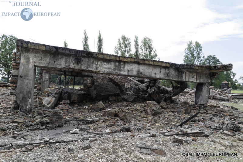 Camp d'extermination d'Auschwitz II-Birkenau (Pologne)