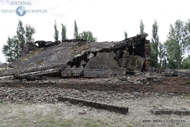 Camp d'extermination d'Auschwitz II-Birkenau (Pologne)