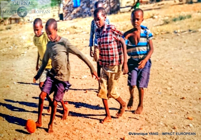 5-IMG-20191208-WA0004