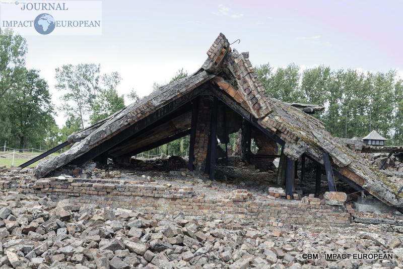Camp d'extermination d'Auschwitz II-Birkenau (Pologne)