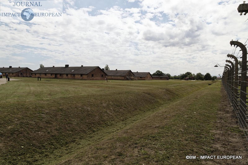 Camp d'extermination d'Auschwitz II-Birkenau (Pologne)