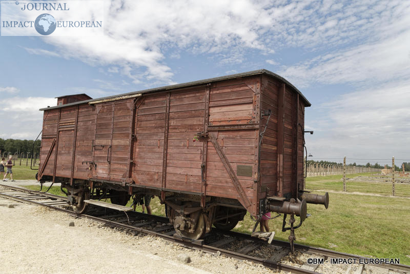 Camp d'extermination d'Auschwitz II-Birkenau (Pologne)