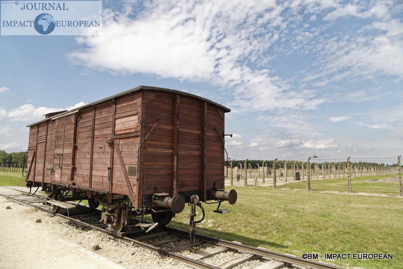 Camp d'extermination d'Auschwitz II-Birkenau (Pologne)