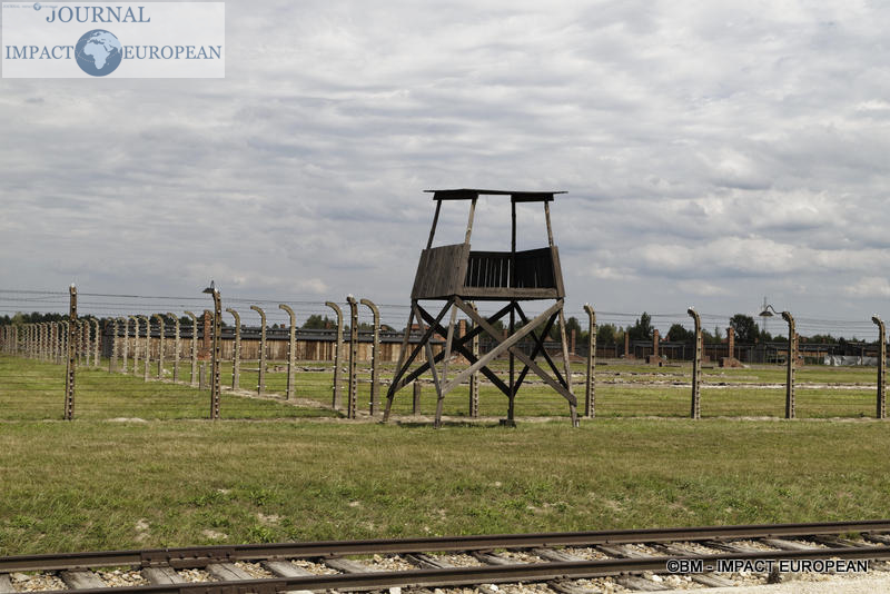 Camp d'extermination d'Auschwitz II-Birkenau (Pologne)
