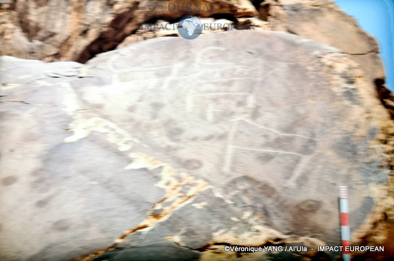 05-IMG_20200115_194446