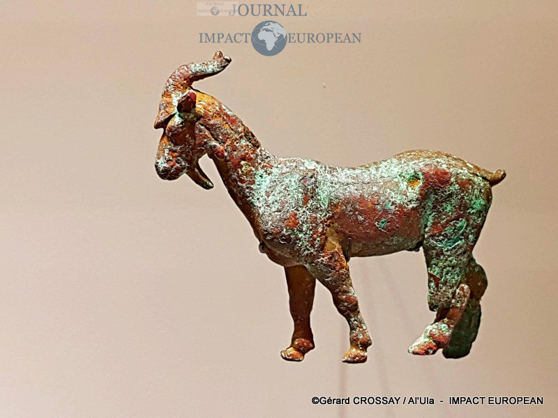 07-IMG-20200122-WA0009