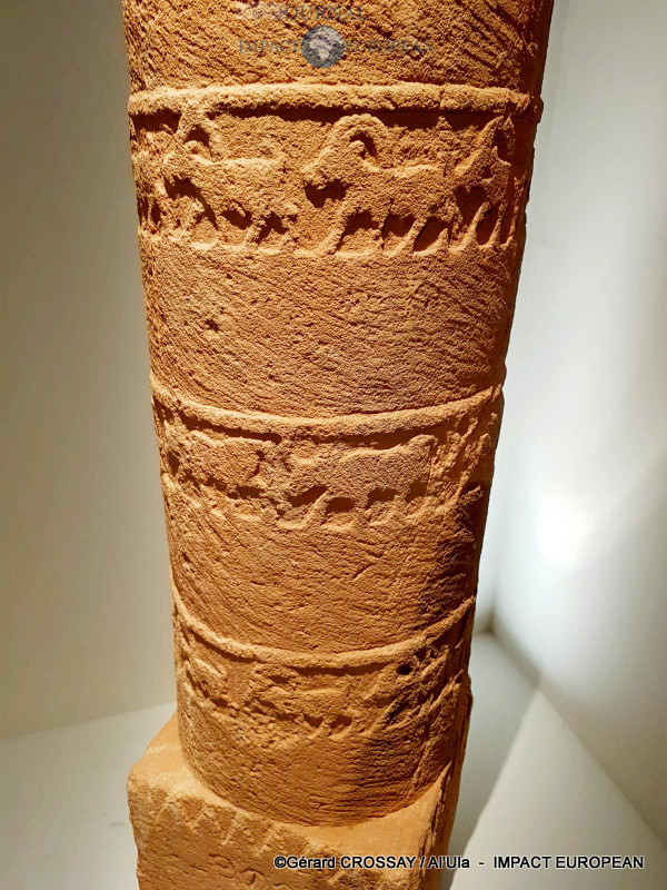 08-IMG-20200122-WA0003