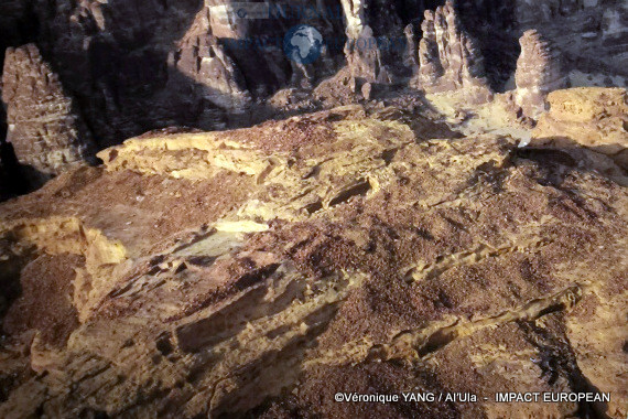 21-IMG_20200115_201312_resized_20200121_093900312