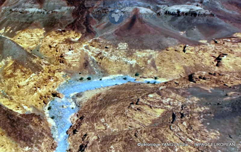 29-IMG_20200115_194057_resized_20200121_093744023