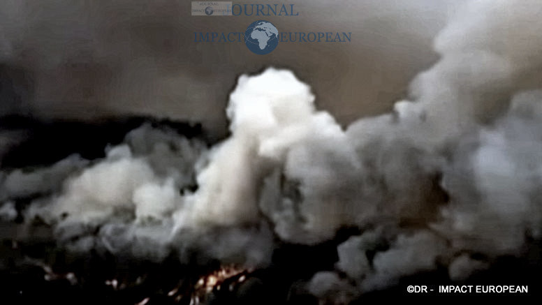 3La faune et la flore de l’Australie dévastées par les incendies