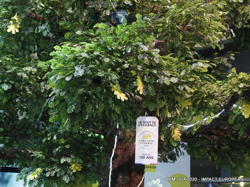 Le Concours général agricole au 57ème Salon de l'agriculture.
