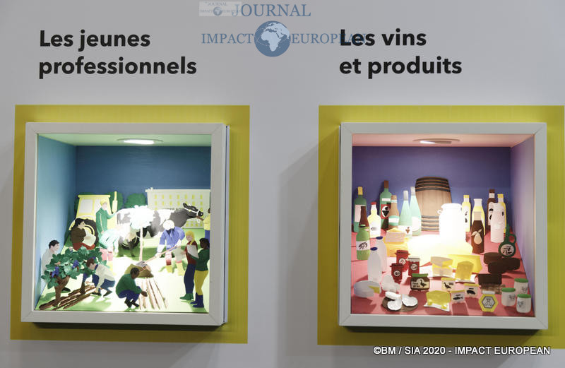 Le Concours général agricole au 57ème Salon de l'agriculture.