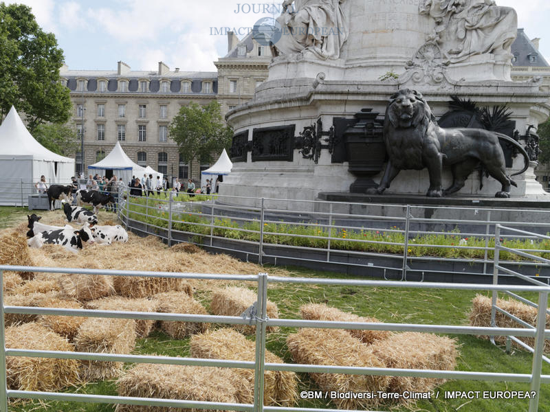 Deuxième édition de BiodiversiTerre 03