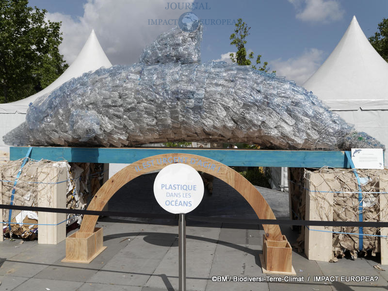 Deuxième édition de BiodiversiTerre 05