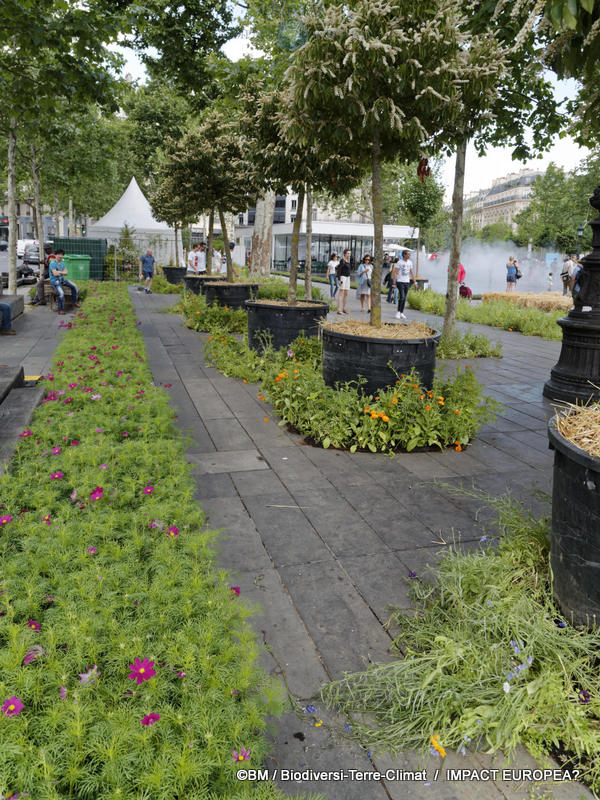 Deuxième édition de BiodiversiTerre 16