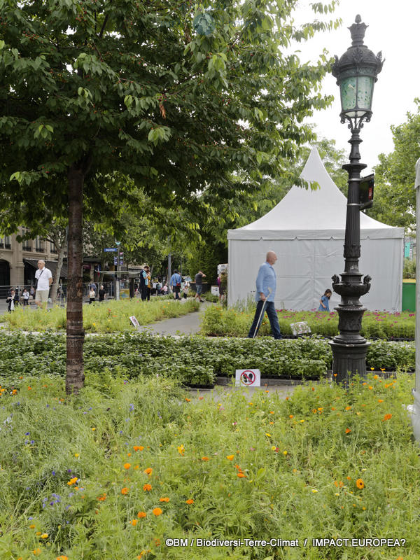 Deuxième édition de BiodiversiTerre 27