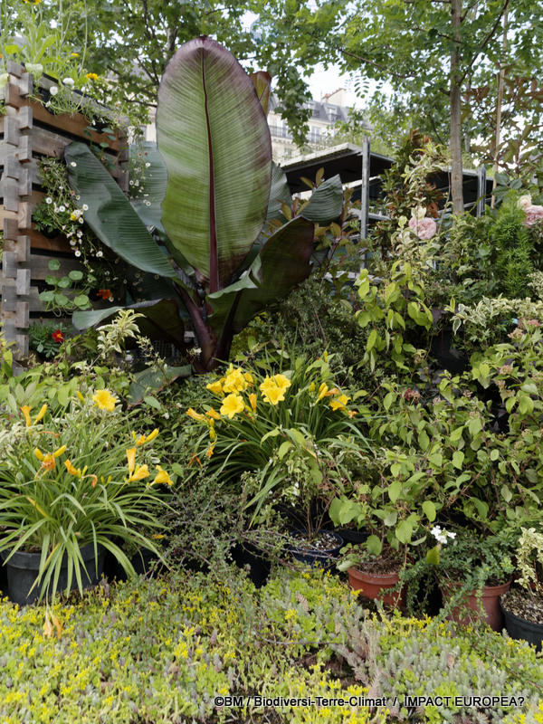 Deuxième édition de BiodiversiTerre 28