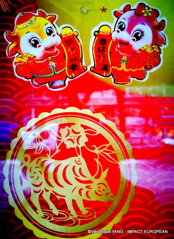 148897074_252540506608451_3485550881790804507_n