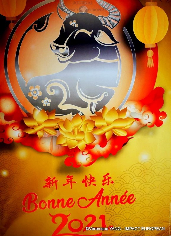 148962681_957725091426636_3535269951017730148_n