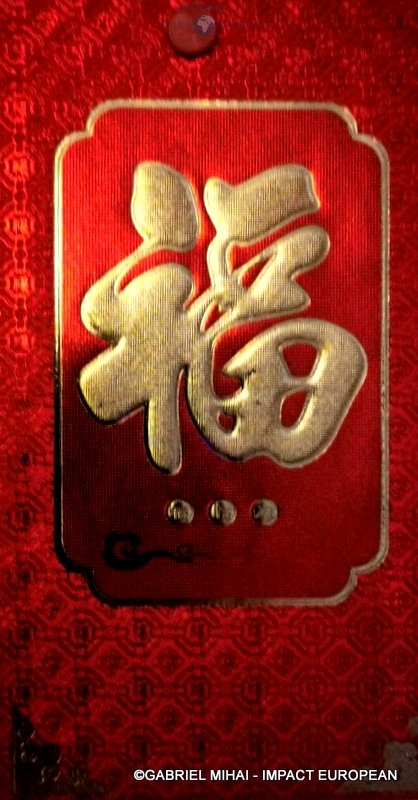 149179671_880326742510562_7933789395334706527_n