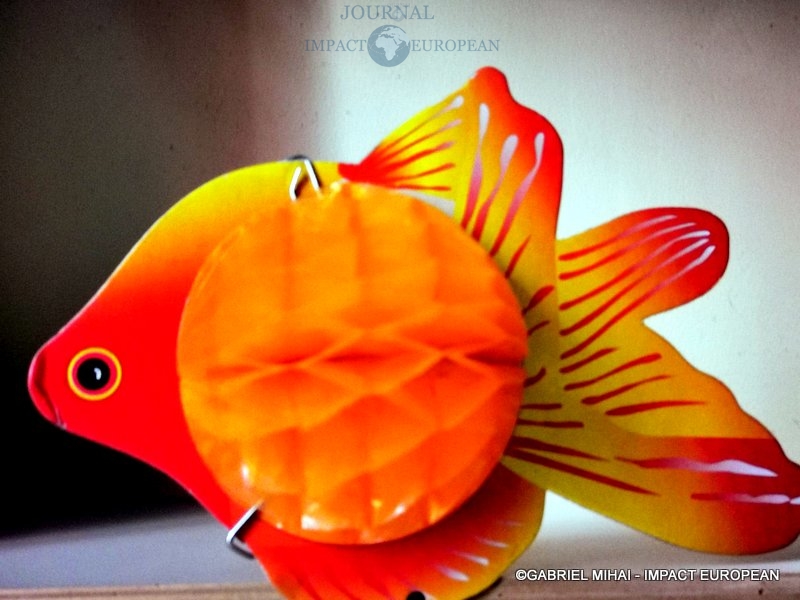 149279249_1408071386213368_2787860760822387680_n