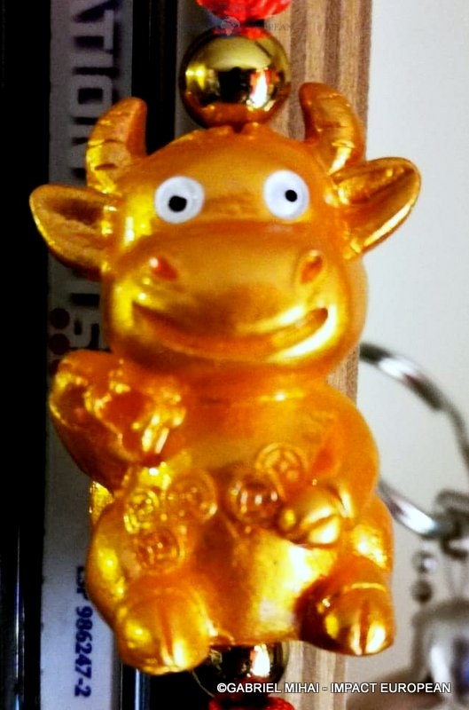 149306596_324981835612417_6781387777877398807_n