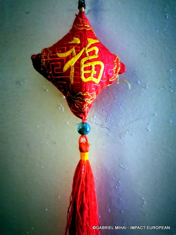 149372682_748411015811703_240229689766328210_n