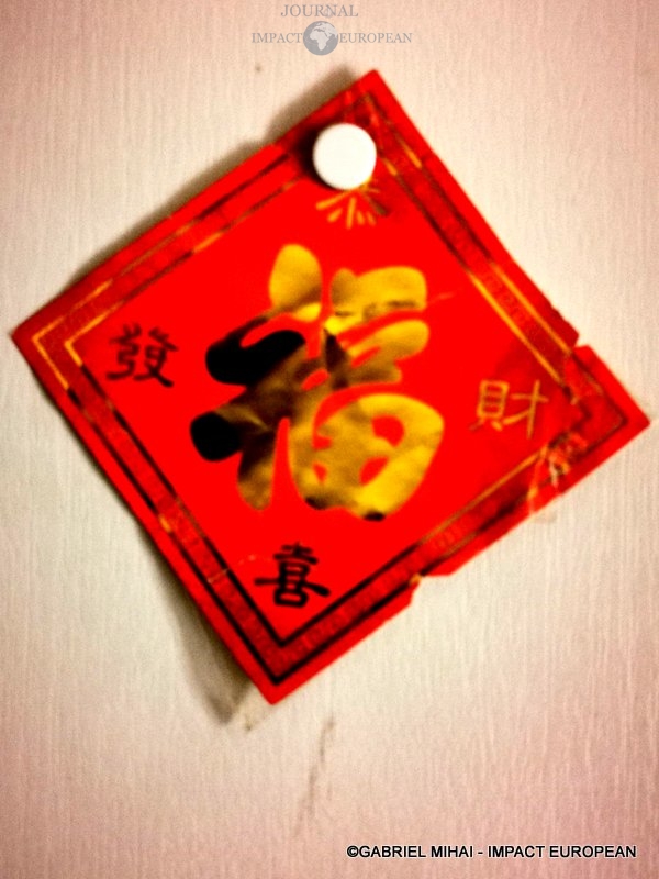 149376636_1529249140601725_2357589368867365408_n