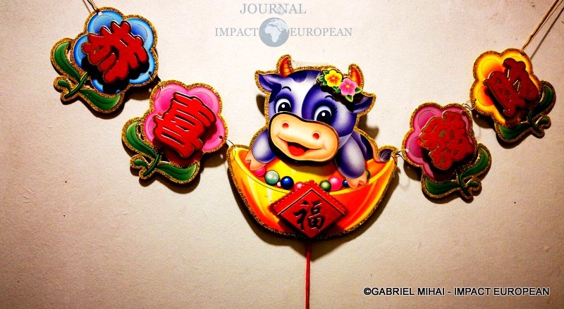 149458564_407439540356411_8762118937944468712_n