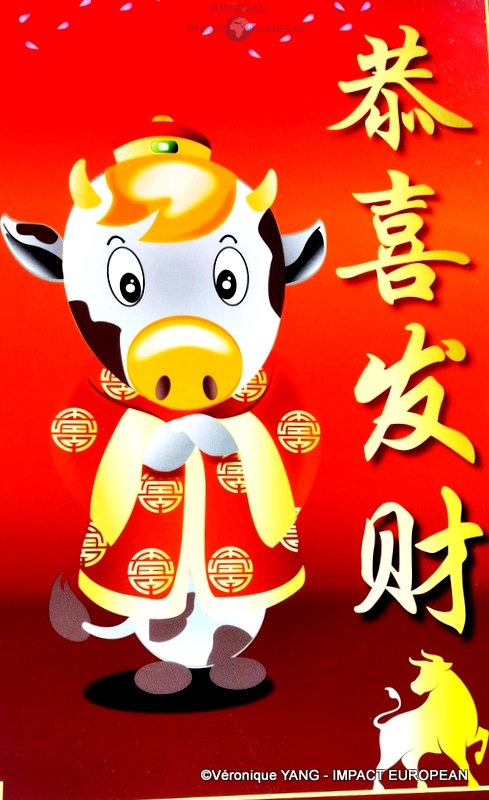 149977169_1089445301554007_996139103565616770_n