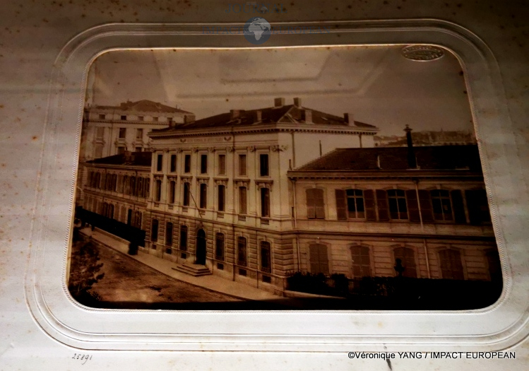 IMG_20210520_113146_resized_20210521_120330981