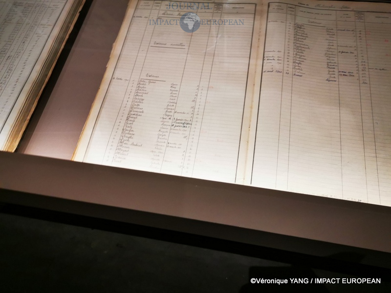 IMG_20210520_113304_resized_20210521_120424854