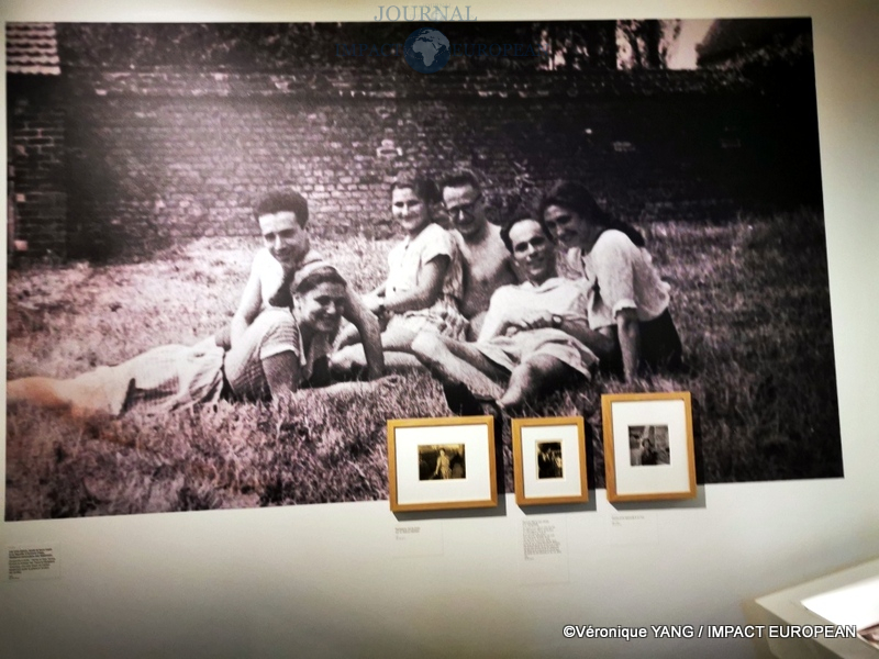 IMG_20210520_115215_resized_20210521_120924787