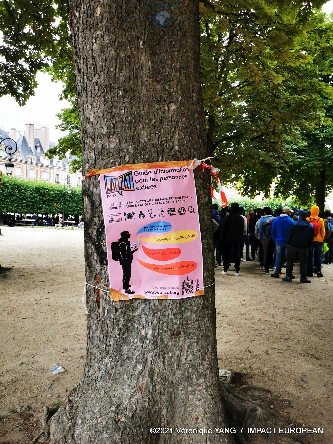 IMG_20210730_111530_resized_20210730_032227630