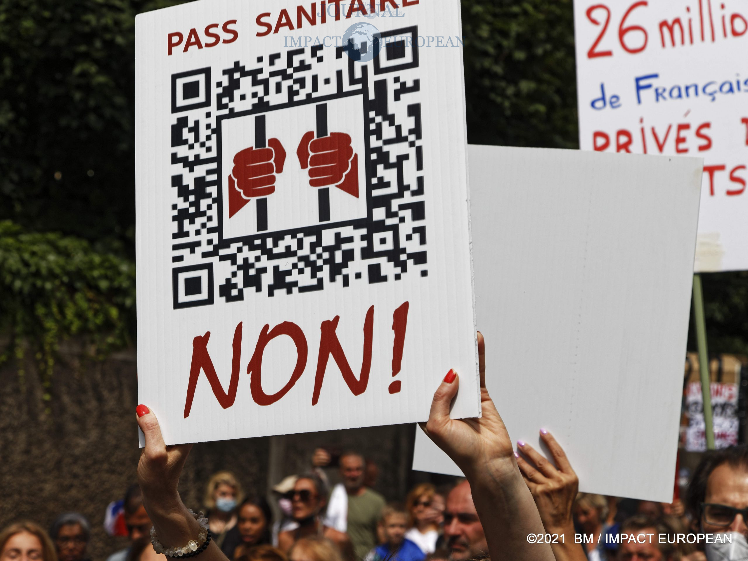 manif anti-pass Philippot 08