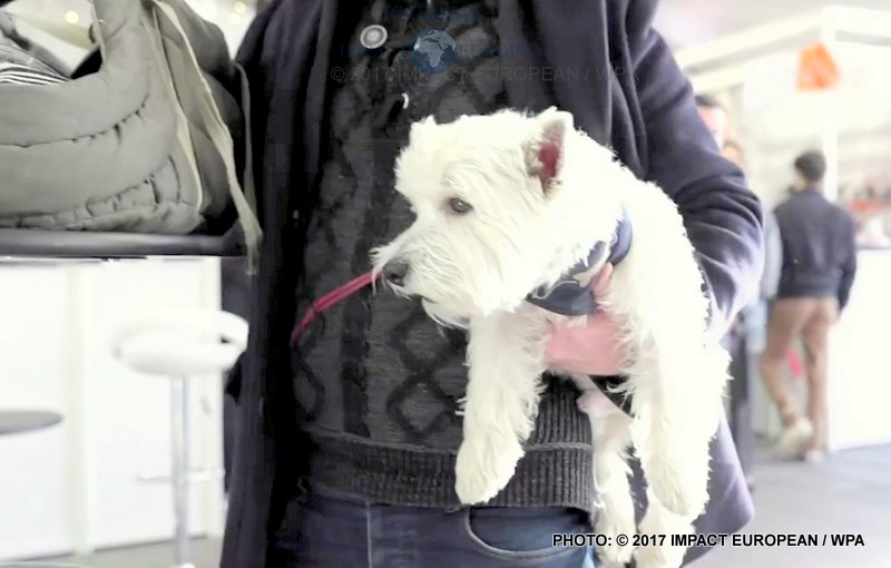 SPA-ADOPTION-NOEL-DES-ANIMAUX2017